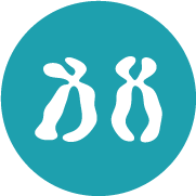 Voyage Care icon for Huntington’s disease